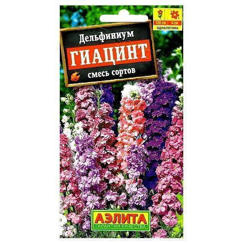 ������ ������ ���������� �������, ����� ������� ������   ����