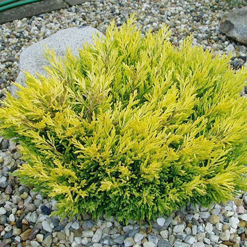 ������ ������ ������������ �������������� ���� ����   ����