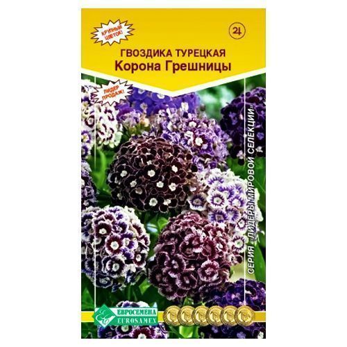 ������ ������ �������� �������� ������ ��������, ����� ������� ����������   ����