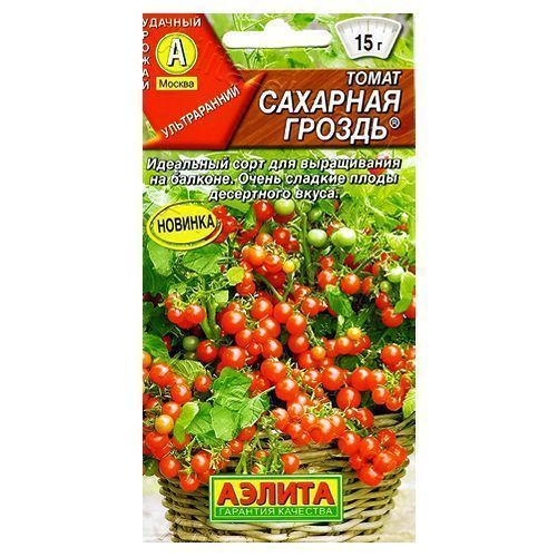 ������ ������ ����� �������� ������ ������   ����