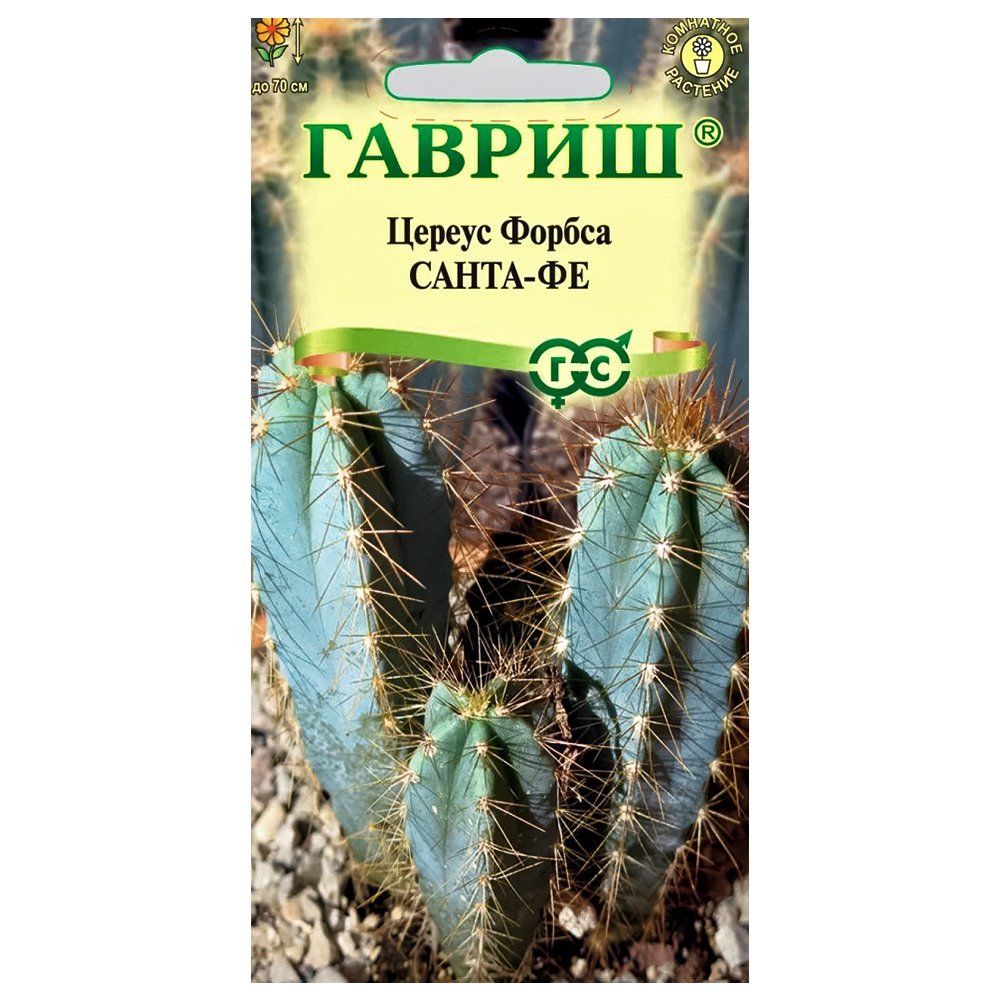 ������ ������ ������ ������ (������) �����-�� ������   ����