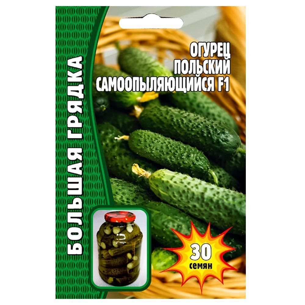 ������ ������ ������ �������� ��������������� F1 ������ ������   ����