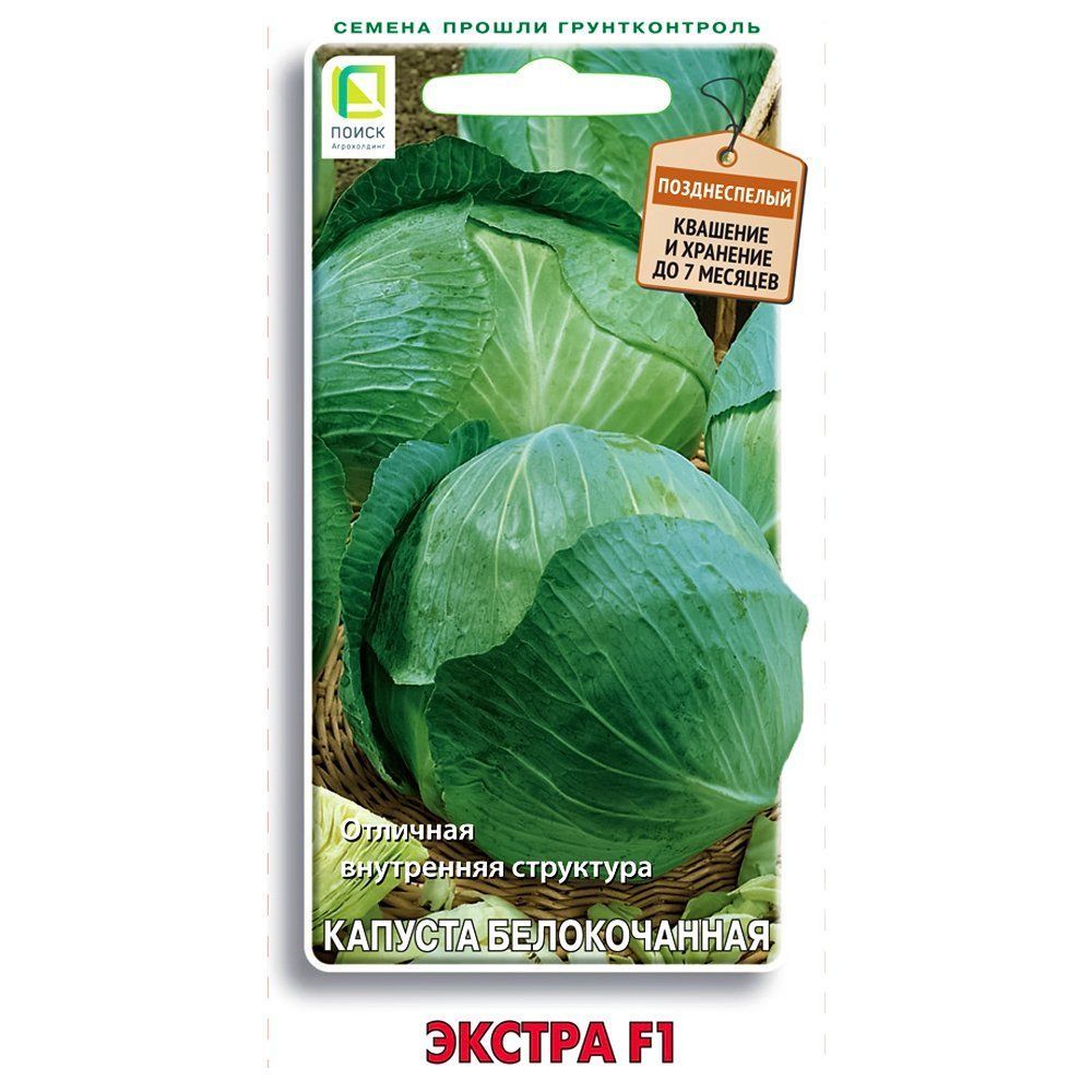 ������ ������ ������� ������������ ������ F1 �����   ����