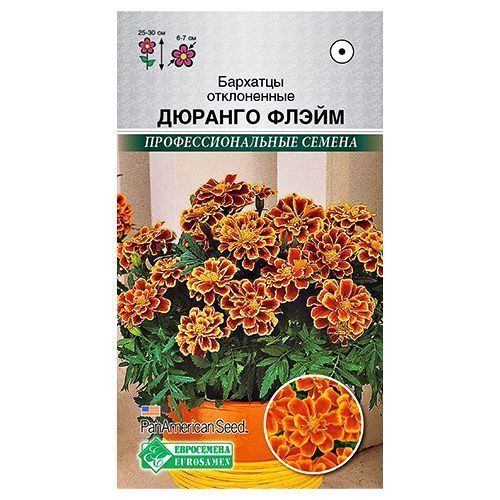 ������ ������ �������� ����������� ������� ����� ����������   ����