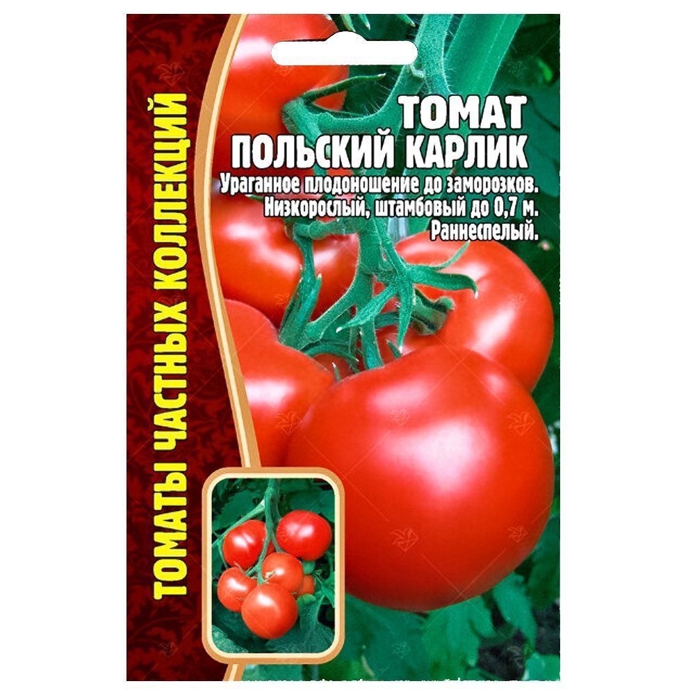 ������ ������ ����� �������� ������ ������ ������   ����