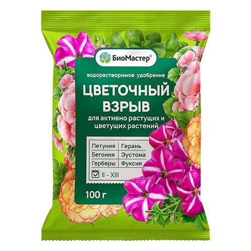 ������ ������ ��������� ��������� �����, ��������������� ��������� 100 �   ����