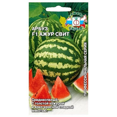 ������ ������ ����� ���� ���� F1 �����   ����