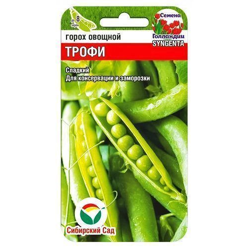 ������ ������ ����� ����� ��������� ���   ����