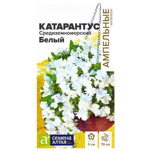 ������ ������ ���������� ����������������� ����� ������ �����   ����