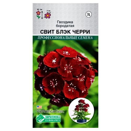 ������ ������ �������� ��������� ���� ���� ����� ����������   ����