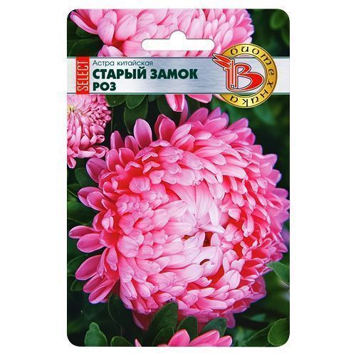 ������ ������ ����� ��������� ������ ����� ������ ��� ����������   ����