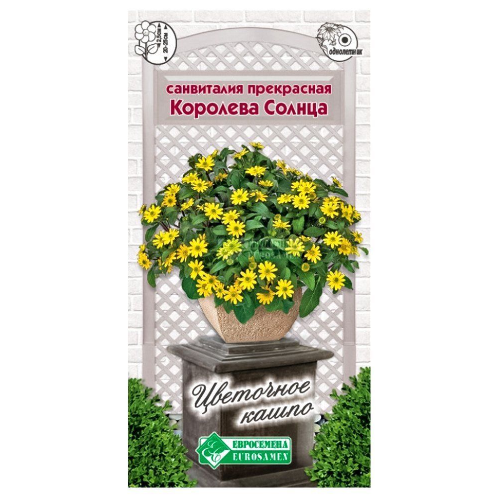 ������ ������ ���������� �������� ������ ����������   ����