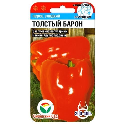 ������ ������ ����� ������� ������� ����� ��������� ���   ����