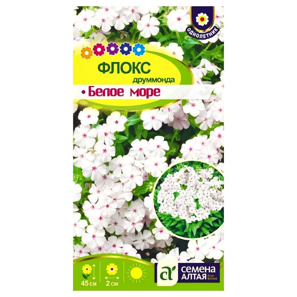 ������ ������ ����� ��������� ����� ���� ������ �����   ����