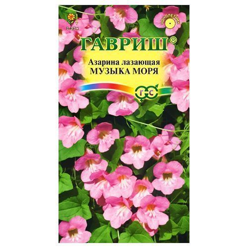 ������ ������ ������� ������ ���� ������   ����