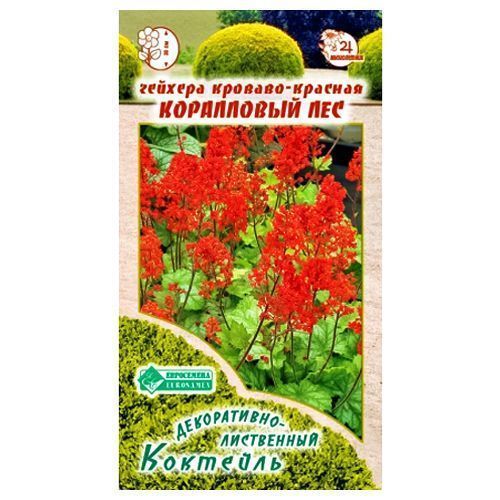 ������ ������ ������� �������-������� ���������� ��� ����������   ����