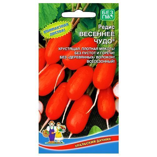 ������ ������ ����� �������� ���� ��������� ������   ����