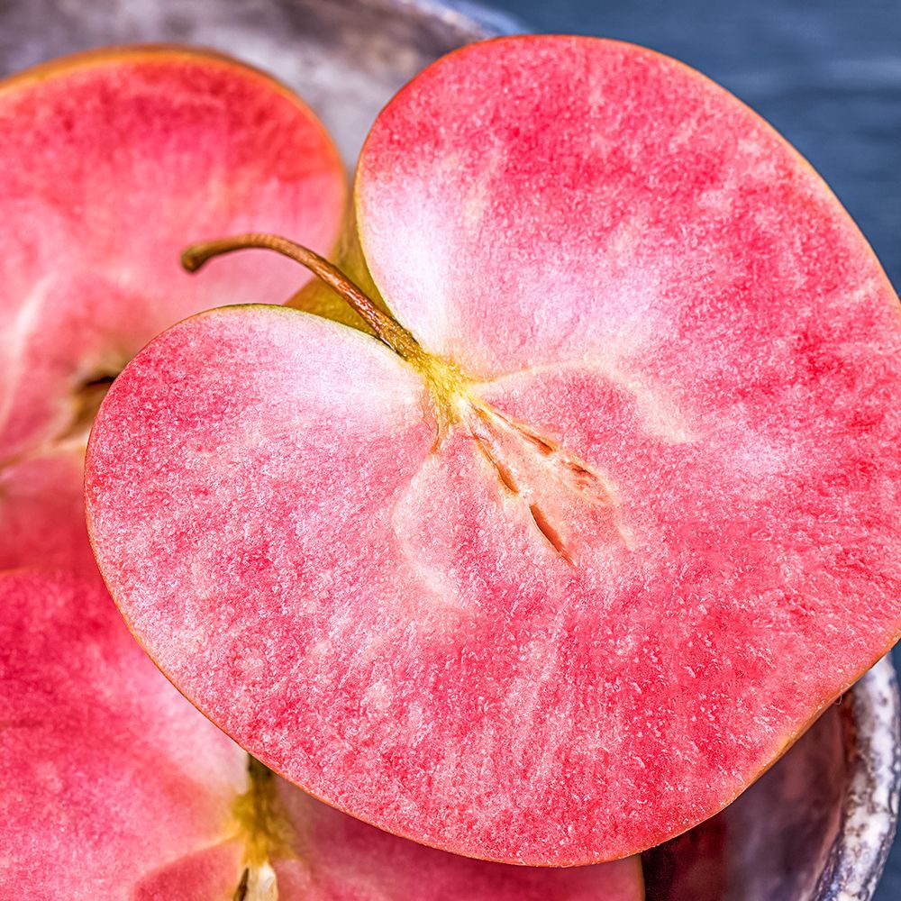 ������ ������ ������ ����������� �������������� ������   ����