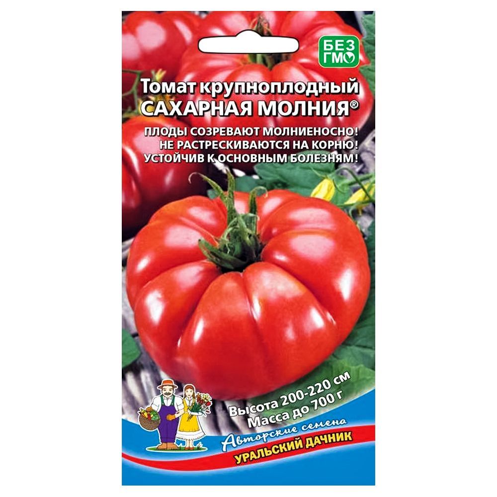 ������ ������ ����� �������� ������ ��������� ������   ����