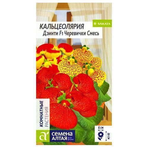 ������ ������ ������������ ������ ���������, ����� ������� ������ �����   ����