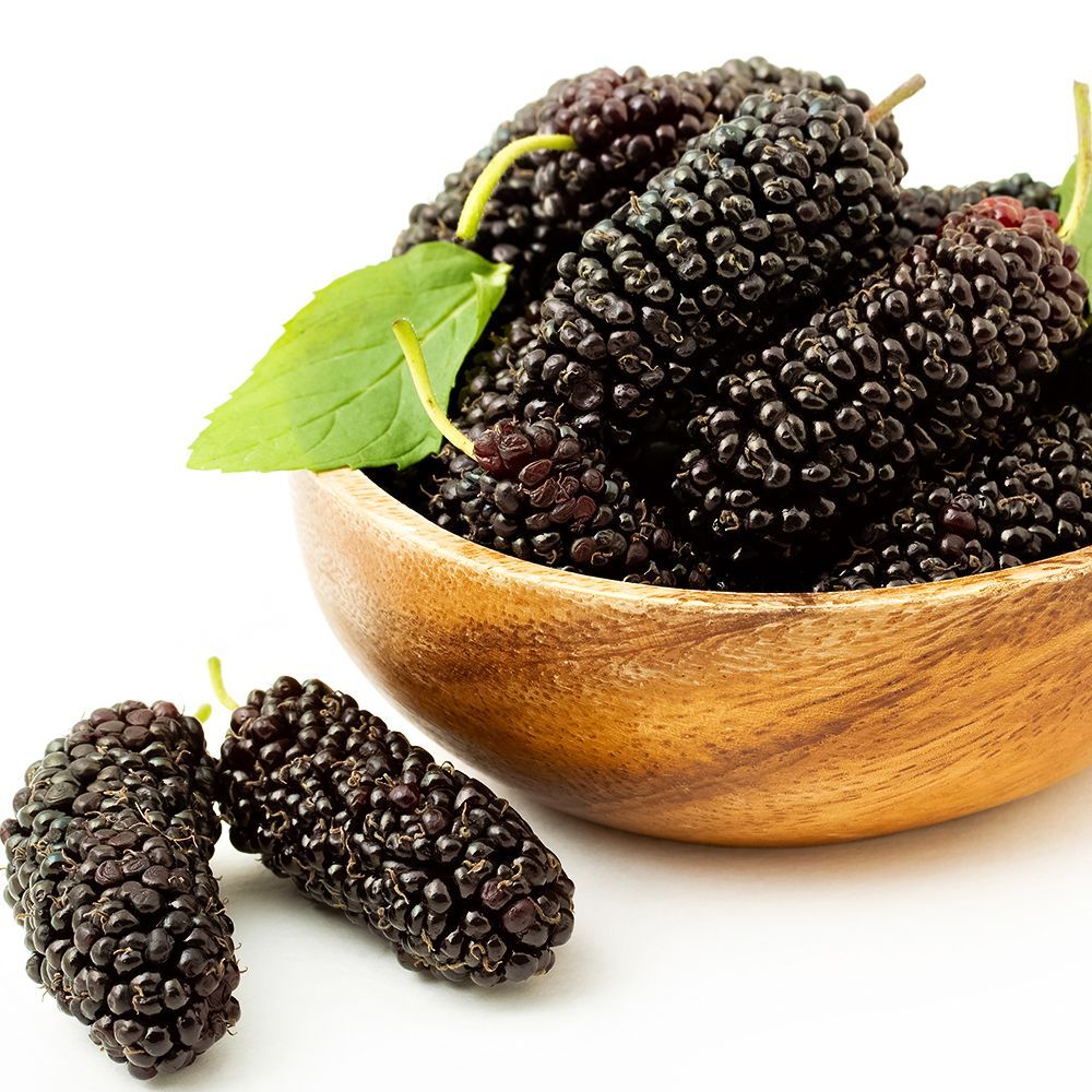 ������ ������ ��������� ��������� �������� �����������   ����