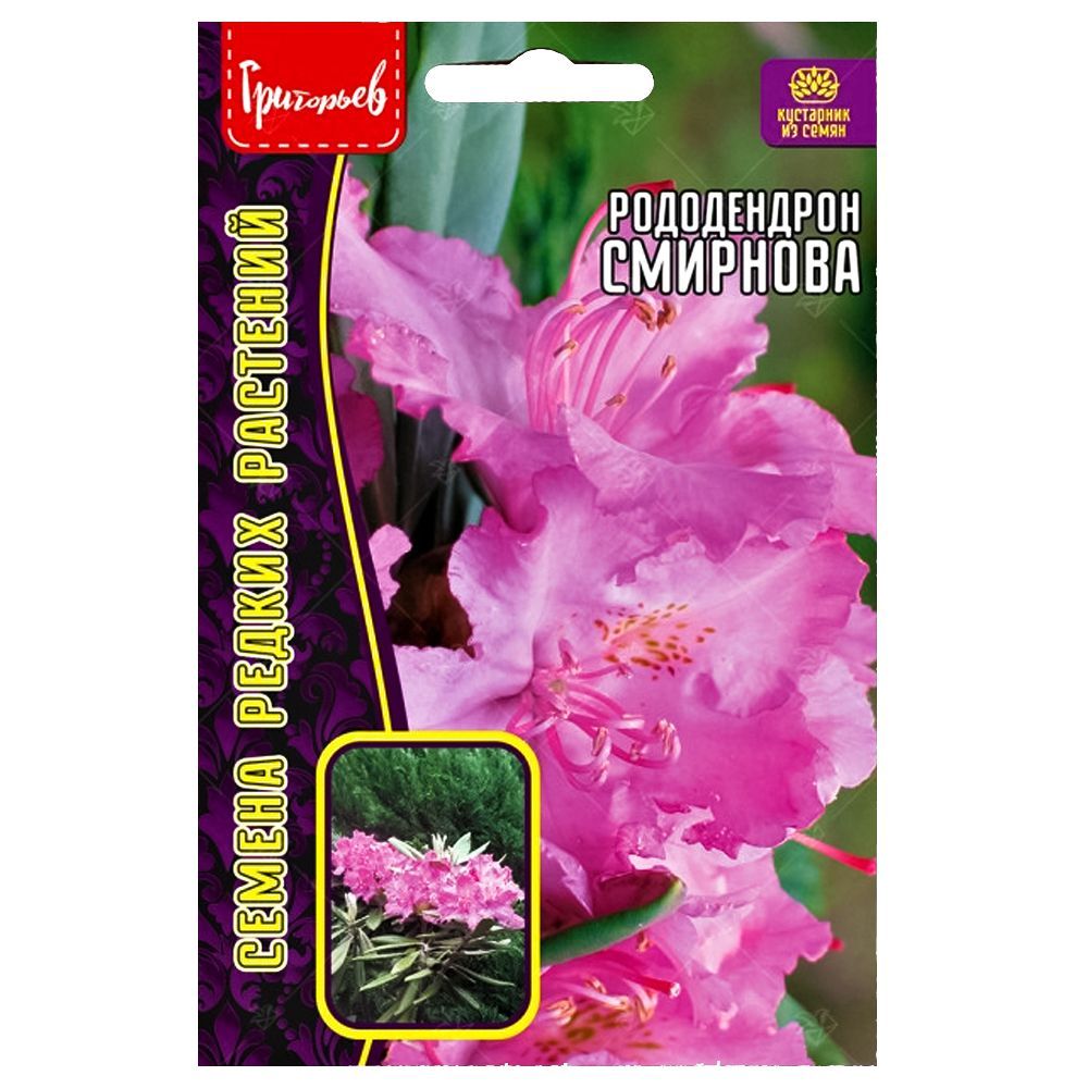 ������ ������ ����������� �������� ������ ������   ����