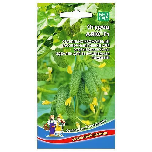 ������ ������ ������ ���� F1 ��������� ������   ����