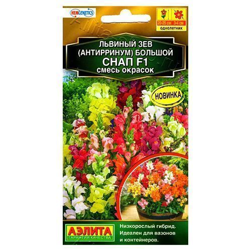 ������ ������ ������� ��� ���� F1, ����� ������� ������   ����