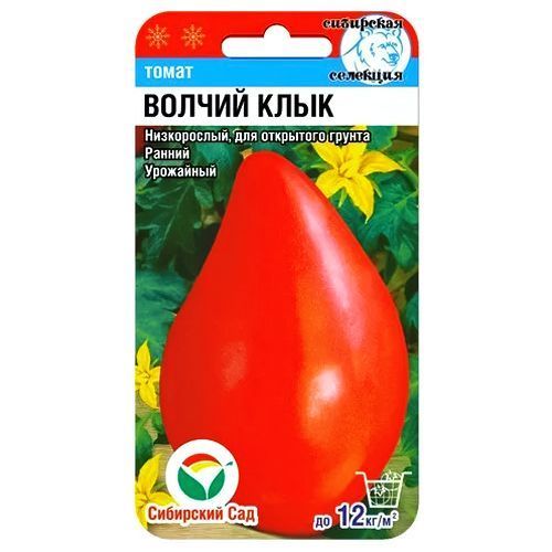 ������ ������ ����� ������ ���� ��������� ���   ����