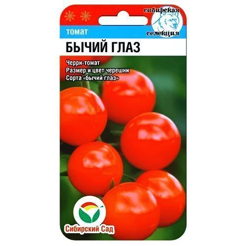 ������ ������ ����� ����� ���� ��������� ���   ����