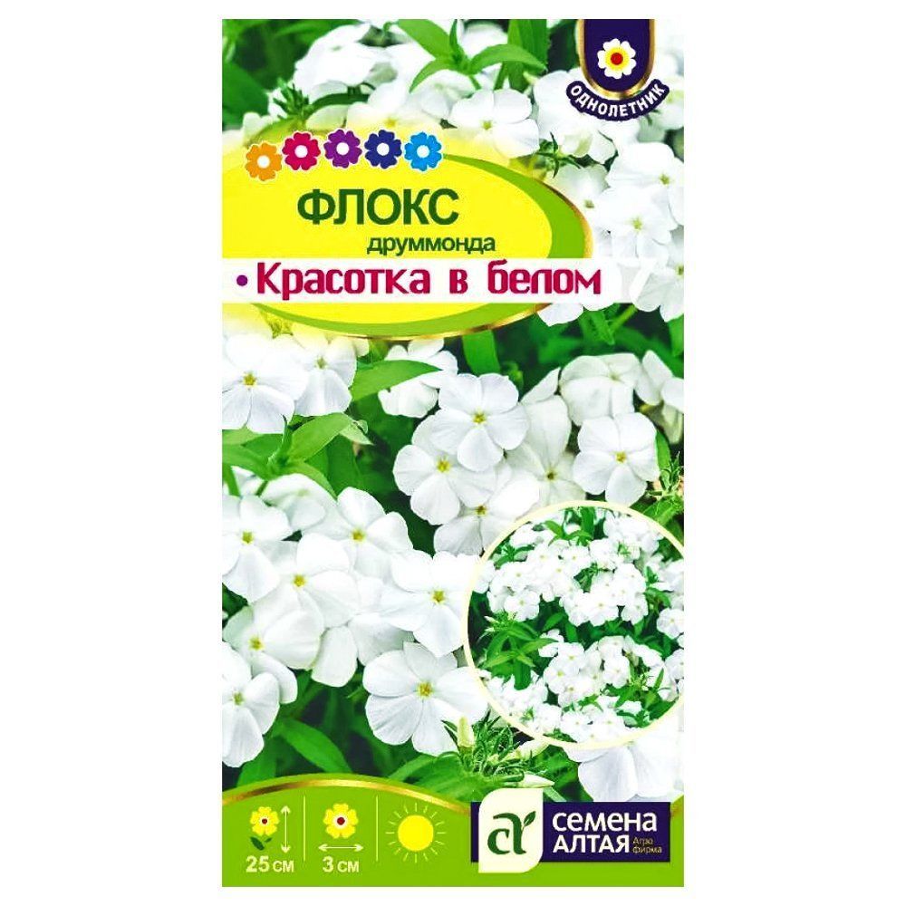 ������ ������ ����� ��������� �������� � ����� ������ �����   ����