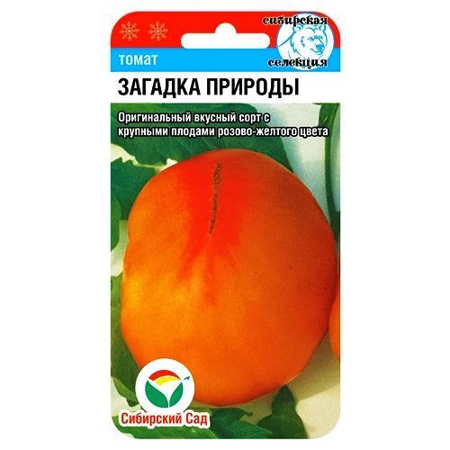 ������ ������ ����� ������� ������� ��������� ���   ����