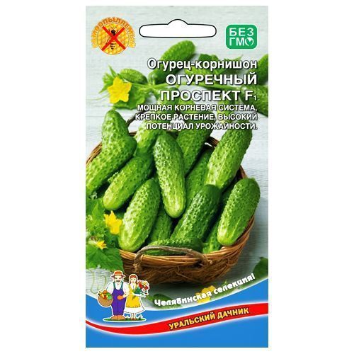 ������ ������ ������ �������� ��������� �������� F1 ��������� ������   ����