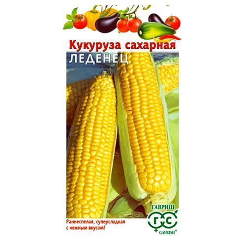 ������ ������ �������� ������� F1 ������   ����