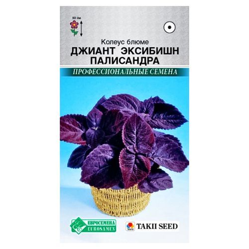 ������ ������ ������ ����� ������ �������� ���������� ����������   ����