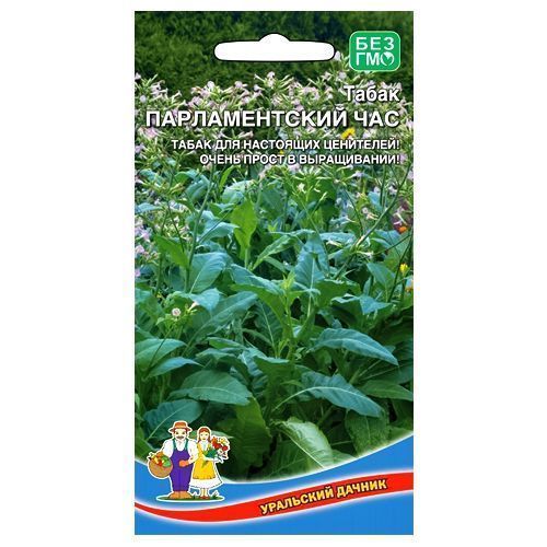 ������ ������ ����� ����������� ������������� ��� ��������� ������   ����