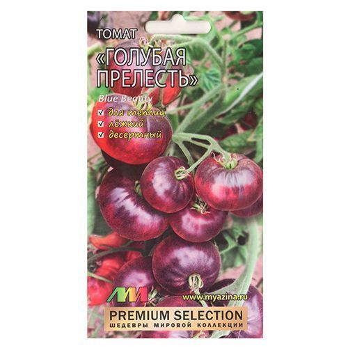 ������ ������ ����� ������� �������� ����������� ������ �.�.   ����