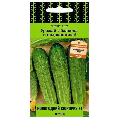 ������ ������ ������ ���������� ������� F1 �����   ����