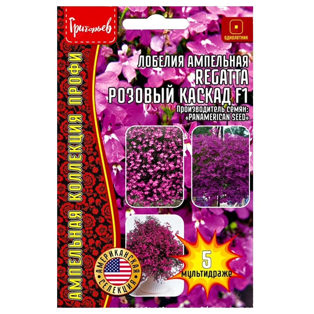 ������ ������ ������� ��������� Regatta ������� ������ F1 ������ ������   ����