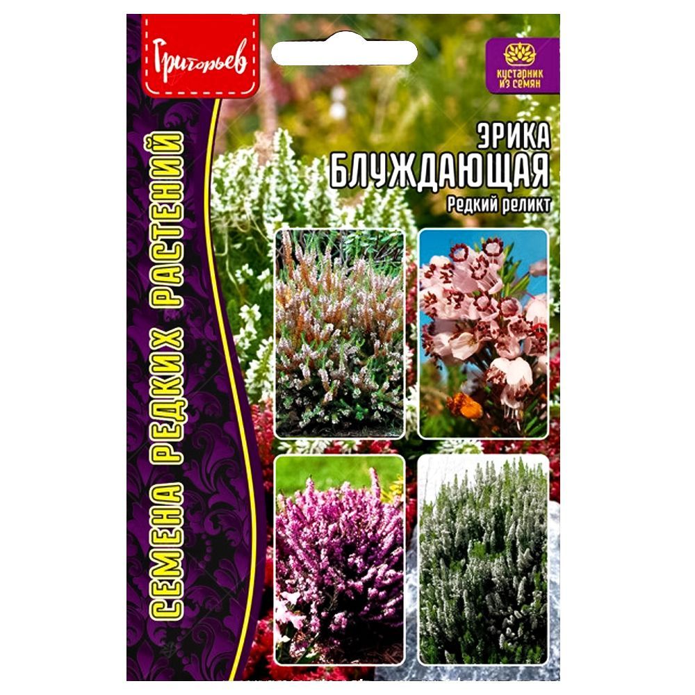 ������ ������ ����� ���������� ������ ������   ����