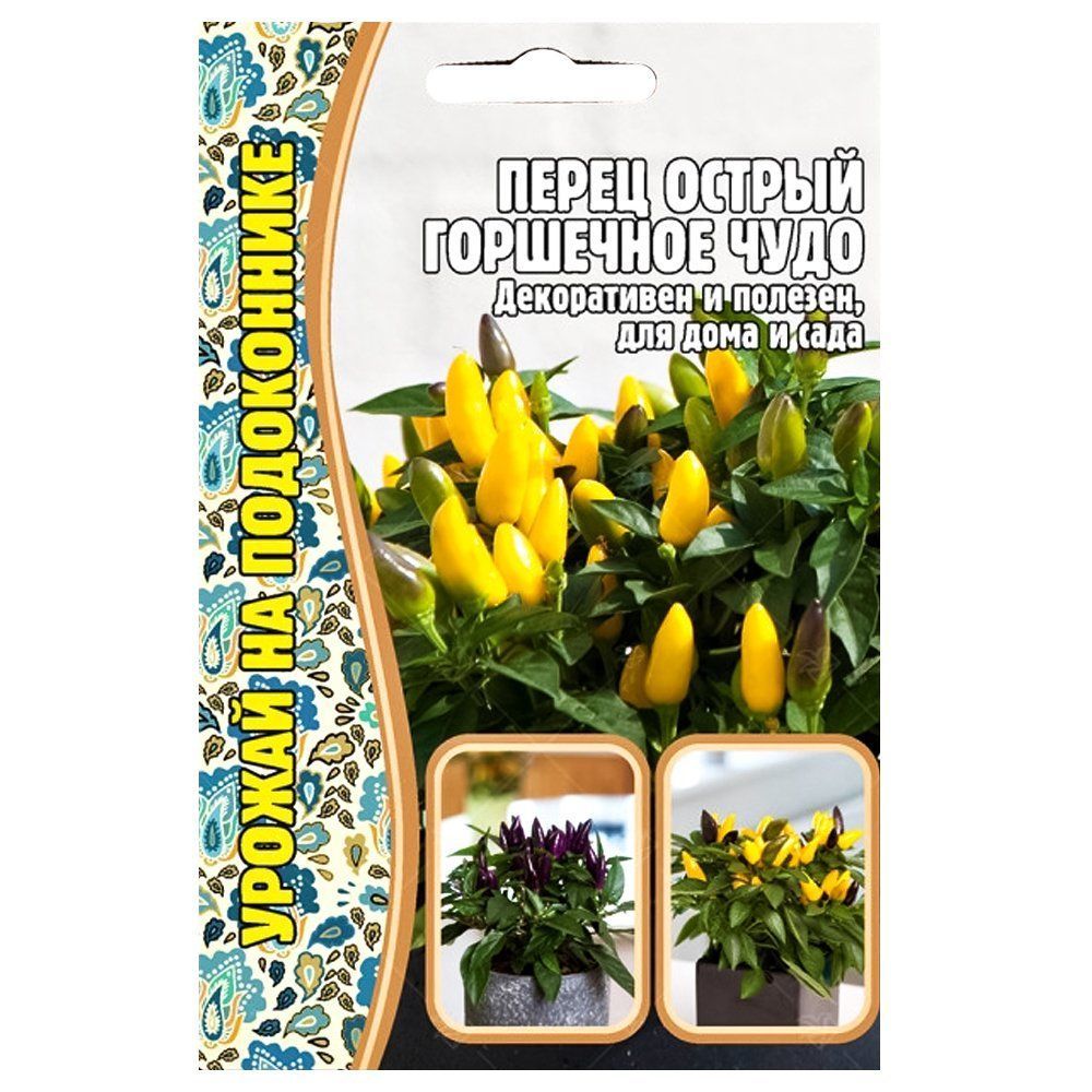 ������ ������ ����� ������ ��������� ���� ������ ������   ����