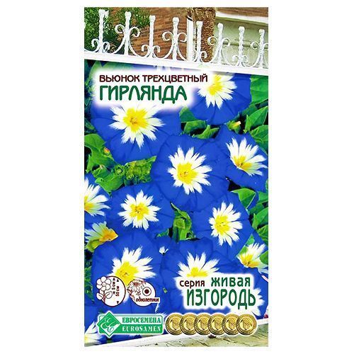 ������ ������ ������ ����������� �������� ����������   ����