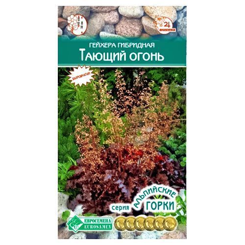 ������ ������ ������� ��������� ������ ����� ����������   ����