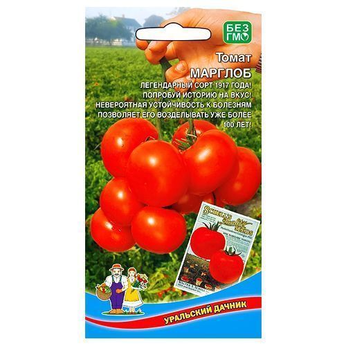 ������ ������ ����� ������� ��������� ������   ����