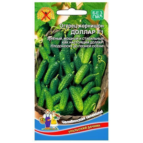 ������ ������ ������ �������� ������ F1 ��������� ������   ����