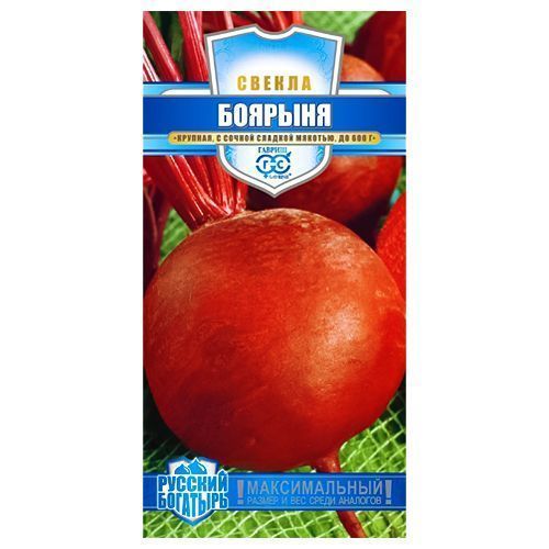 ������ ������ ������ ������� ������   ����