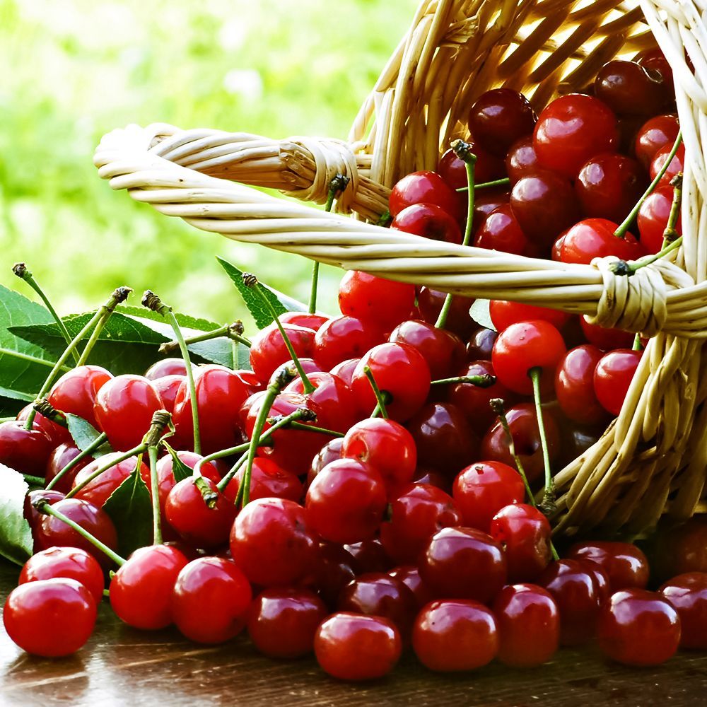 ������ ������ ����� (���) �����   ����