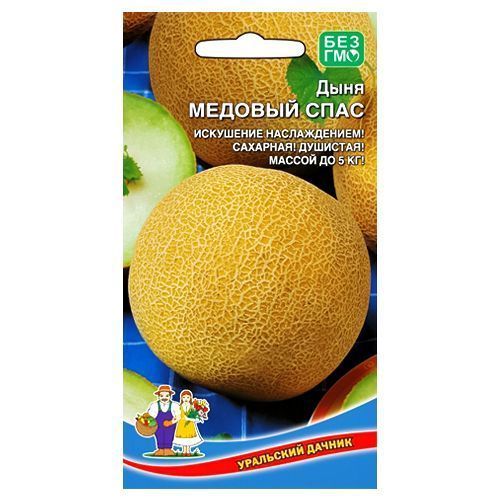 ������ ������ ���� ������� ���� ��������� ������   ����