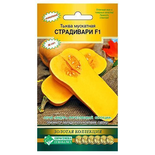 ������ ������ ����� ��������� ���������� ����������   ����