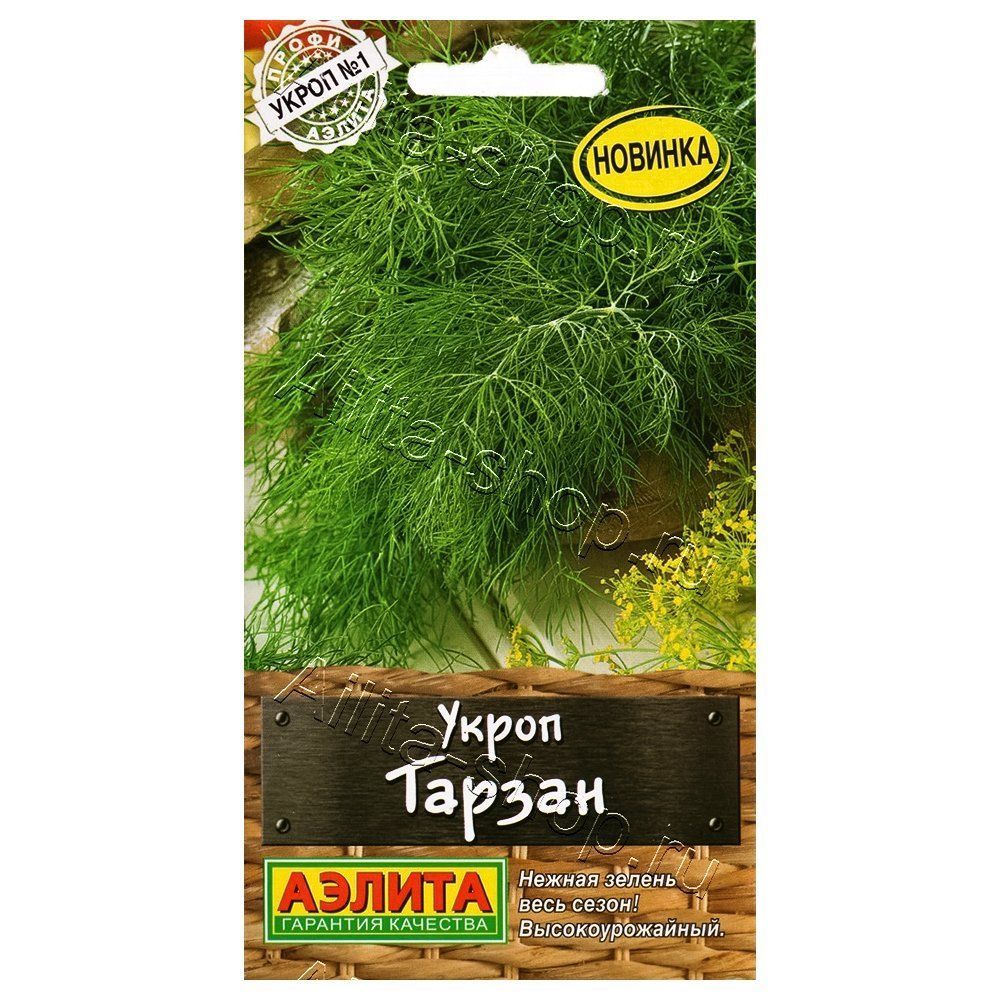 ������ ������ ����� ������ ������   ����